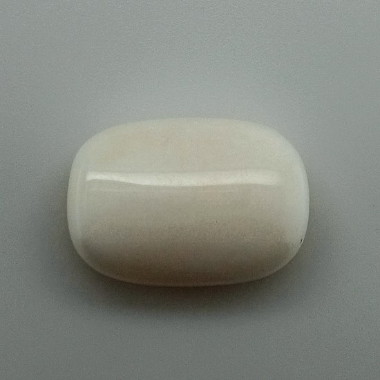 White Coral (Safed Moonga) 23.15 Ct Certified White Coral (Safed Moonga) 23.15 Ct Certified